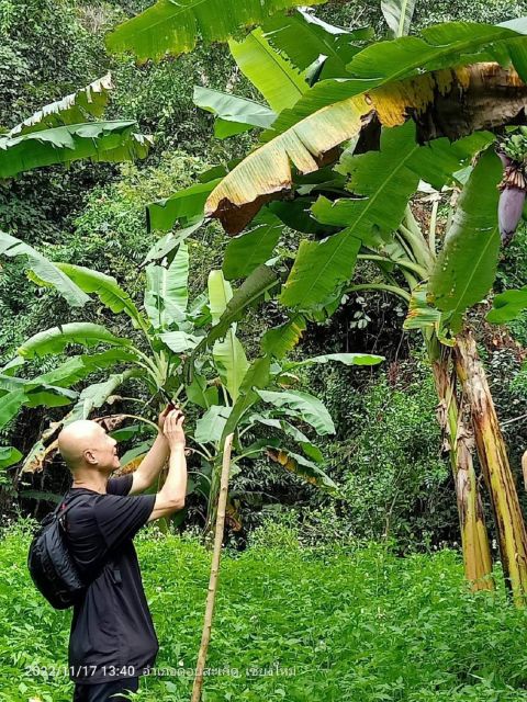 From Chiang Mai: Doi Saket Hiking Tour With Lunch - Customer Feedback