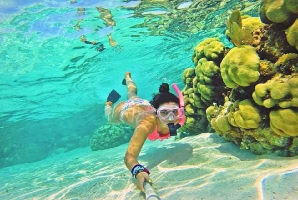From Dahab: Three Pools Guided Snorkeling Tour With Lunch - Customer Reviews