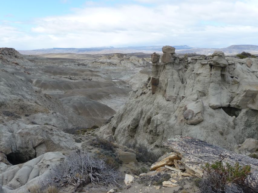 From El Calafate: La Leona Petrified Forest Tour - Customer Review
