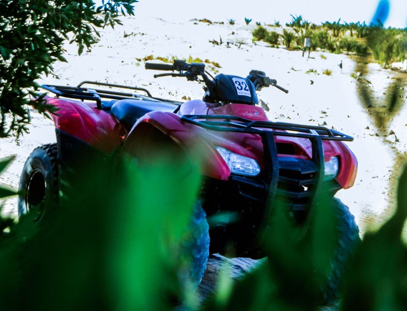From El Gouna: Dry Canyon Quad Bike Morning Tour - Booking Information