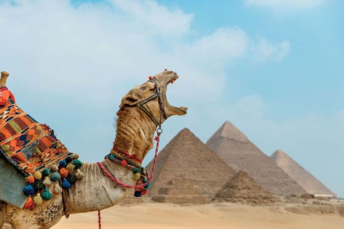 From El Sokhna Port : Day Tour to Pyramids and Lunch Cruise - Ticket Information