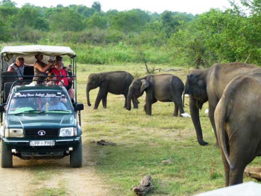 From Ella: Udawalawe Safari & Local Lunch Adventure - Additional Information