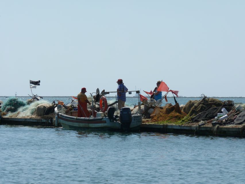 From Faro: 4 Stops, 3 Islands in Ria Formosa Catamaran Tour - Cultural Immersion