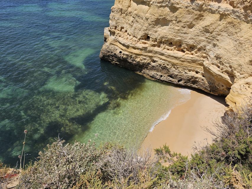 From Faro: Benagil Cave, Marinha Beach, Algar Seco & More - Customer Reviews and Ratings