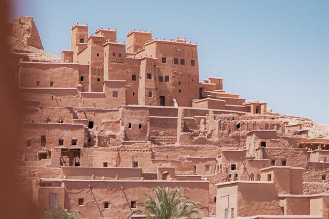 From Fes: Unforgettable Desert Tour to Marrakech 3-Day - Customer Reviews and Testimonials