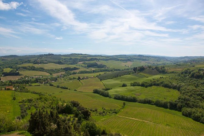 From Florence: Small-Group Tuscany Wine & Oil Tour With Typical Tuscan Meal - Tour Guides and Transportation
