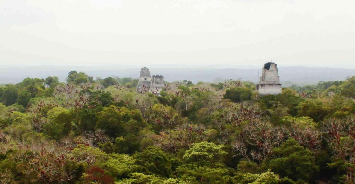 From Flores: Tikal Sunset Tour - Tour Guide Services