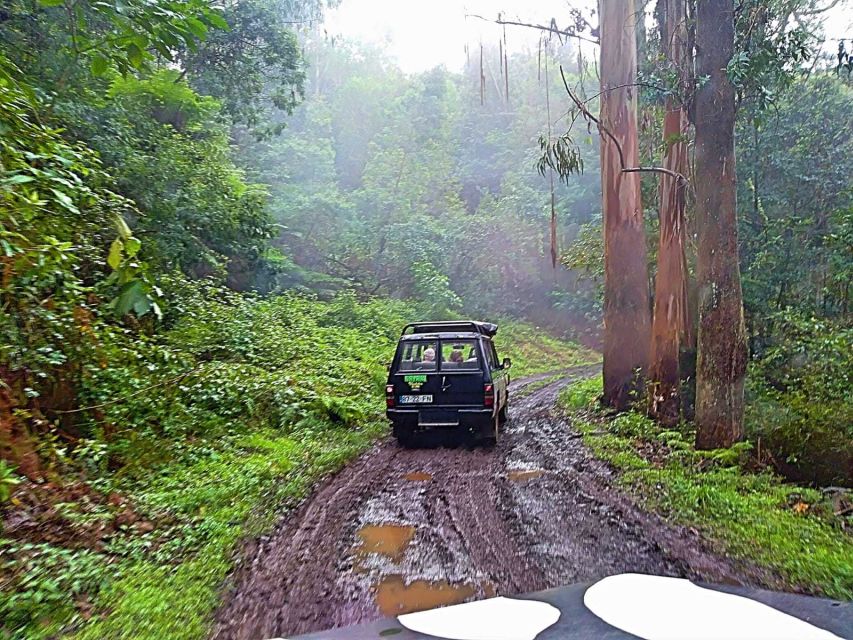 From Funchal: Full-Day Jeep Safari Tour - Tour Last Words and Satisfaction