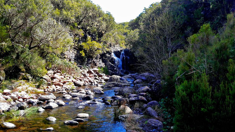 From Funchal: Madeira Lakes Levada Guided Hike - Product Details