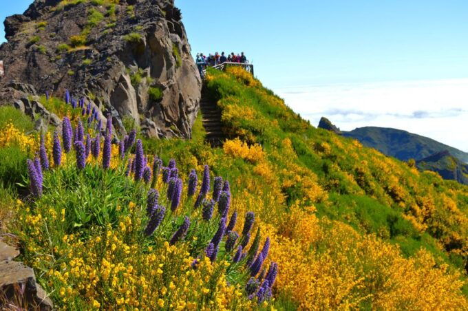 From Funchal: Madeira Peaks Mountain Walk - Payment Options for Madeira Peaks Mountain Walk