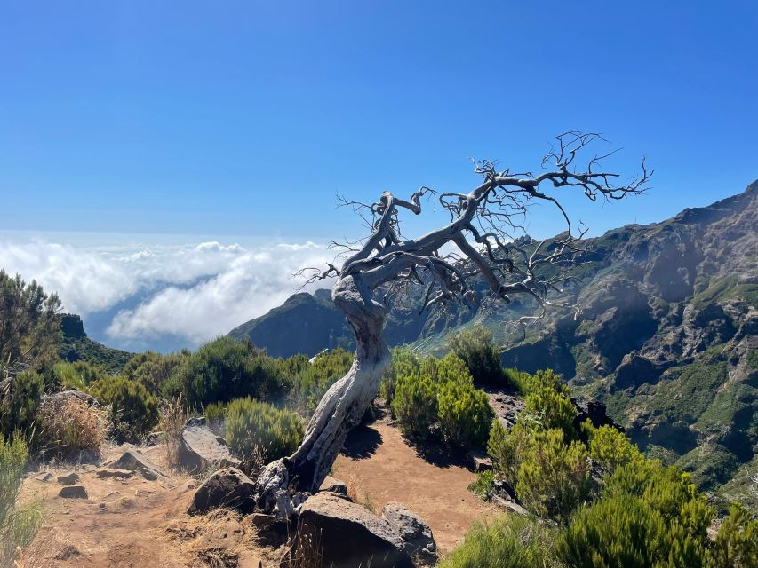 From Funchal: Transfer to Pico Do Arieiro & Pico Ruivo Trail - Flexible Booking Information
