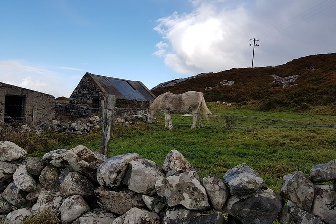 From Galway: Guided Tour of Connemara With 3 Hour Stop at Connemara National Pk. - Last Words