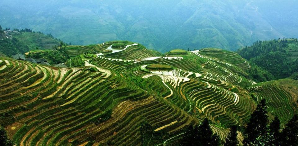 From Guilin: Longsheng Dragon's Backbone Rice Terraces - Full Tour Description