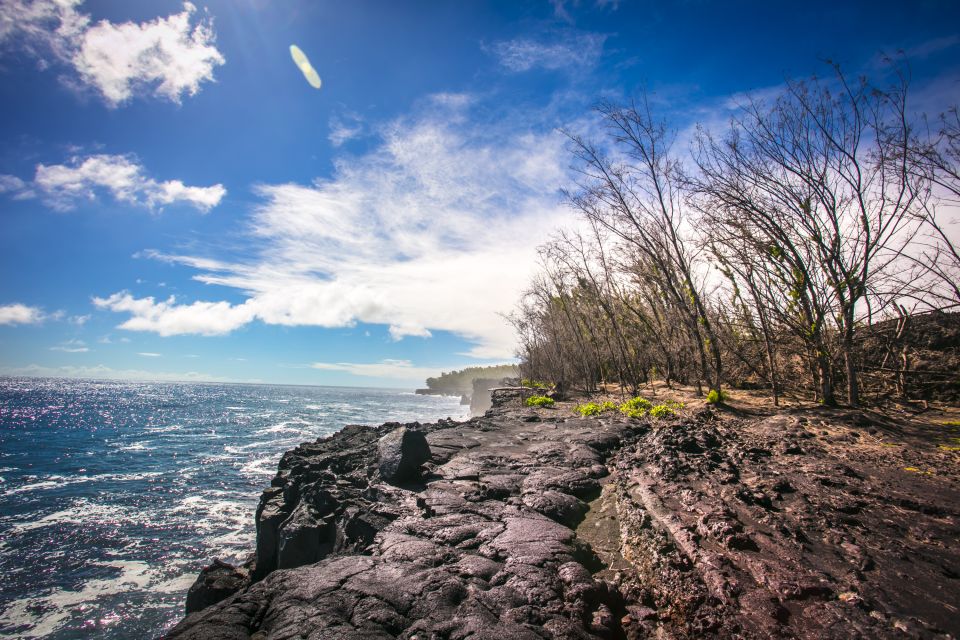 From Hilo: Kilauea Lava Flow Tour With Lunch and Dinner - Customer Feedback