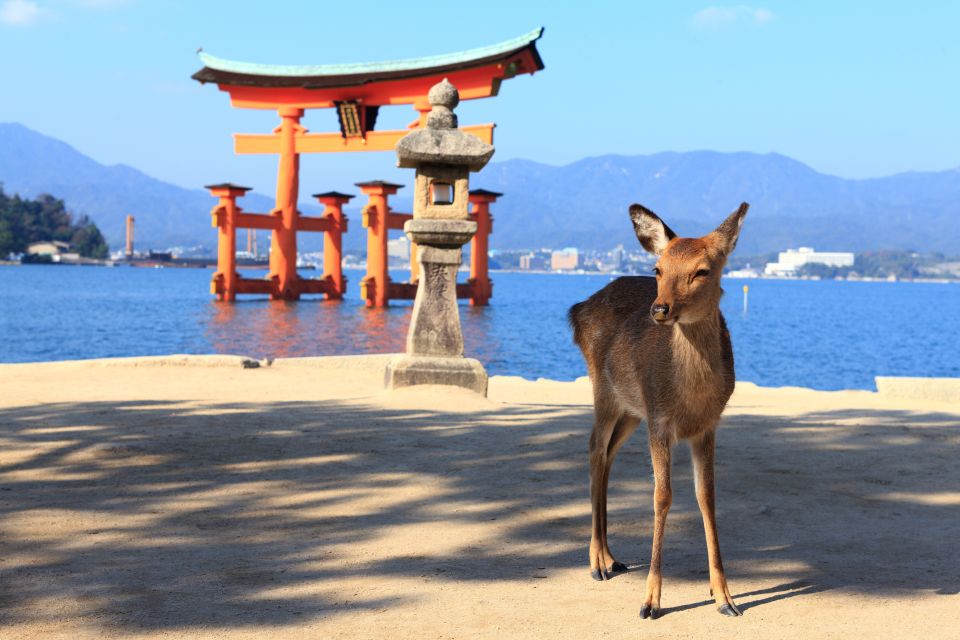 From Hiroshima: Hiroshima and Miyajima Island 1-Day Bus Tour - Customer Reviews