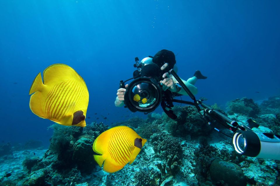 From Hurghada: Sharm El Naga Full-Day Snorkeling Tour - Review Summary