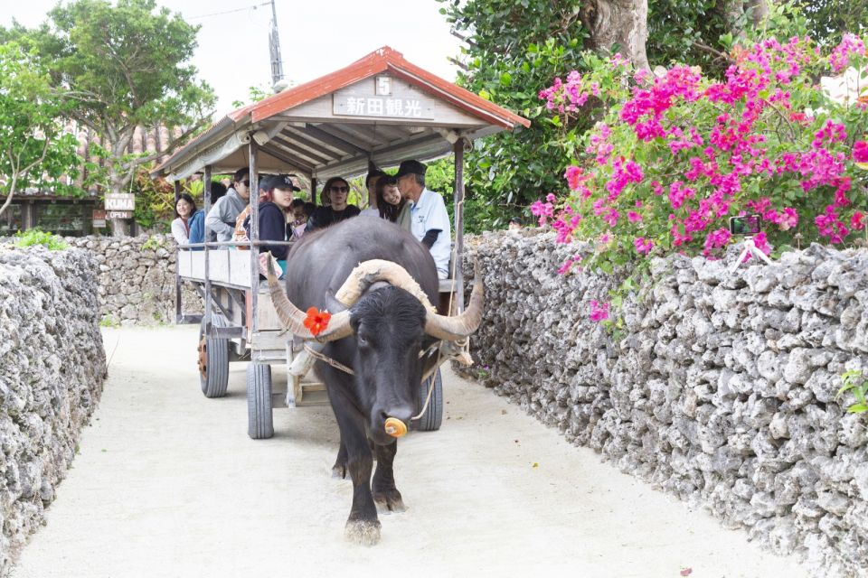 From Ishigaki: Hamajima and Taketomi Island Snorkel Trip - Meeting Point and Instructions