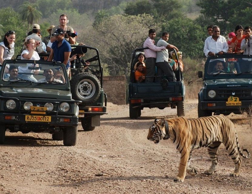 From Jaipur: Overnight Ranthambore Tiger Safari Private Tour - Inclusions