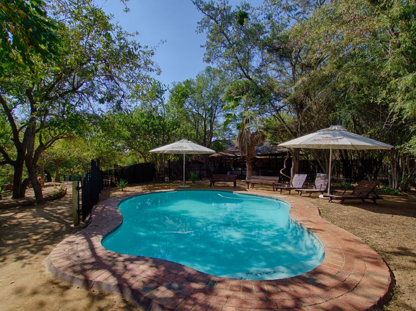 From Johannesburg: 3-Day Budget Kruger National Park Safari - Rating and Reviews