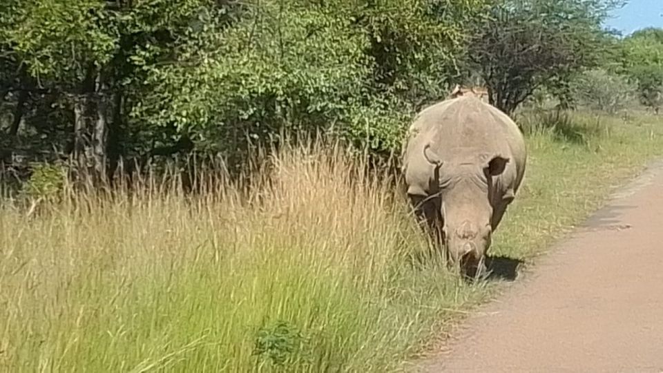 From Johannesburg: 7-Day Kruger National Park Tour - Daily Itinerary