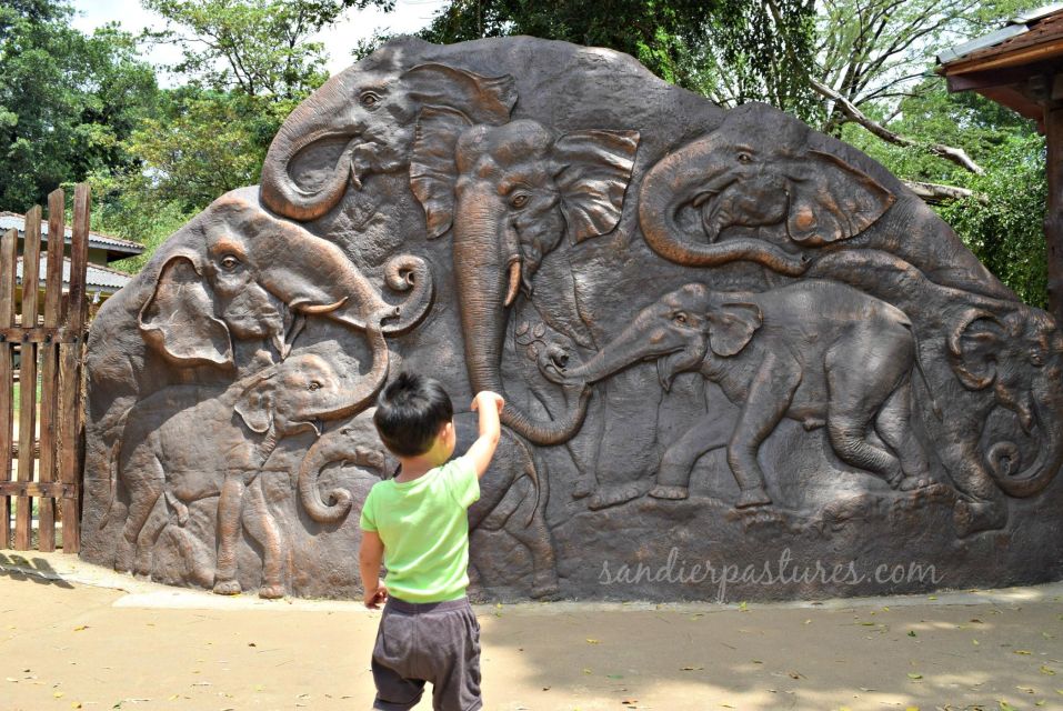 From Kandy: Pinnawala and Botanical Garden Tour By Tuk Tuk - Full Tour Description