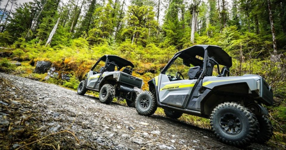 From Ketchikan: Mahoney Lake Off-Road UTV Tour With Lunch - Customer Reviews and Testimonials