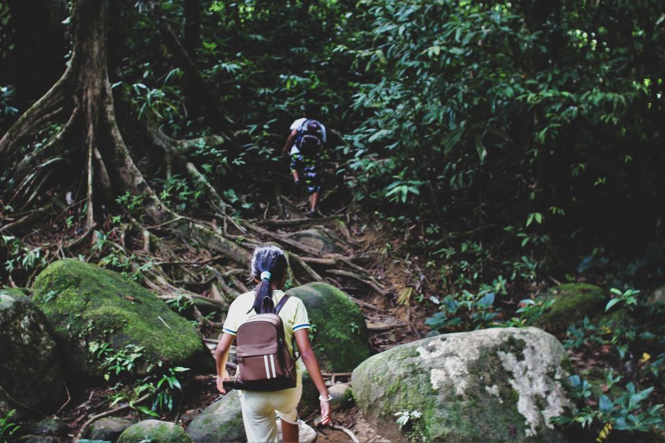 From Khao Lak: Khao Sok Jungle Hike & River Tour - Review Insights