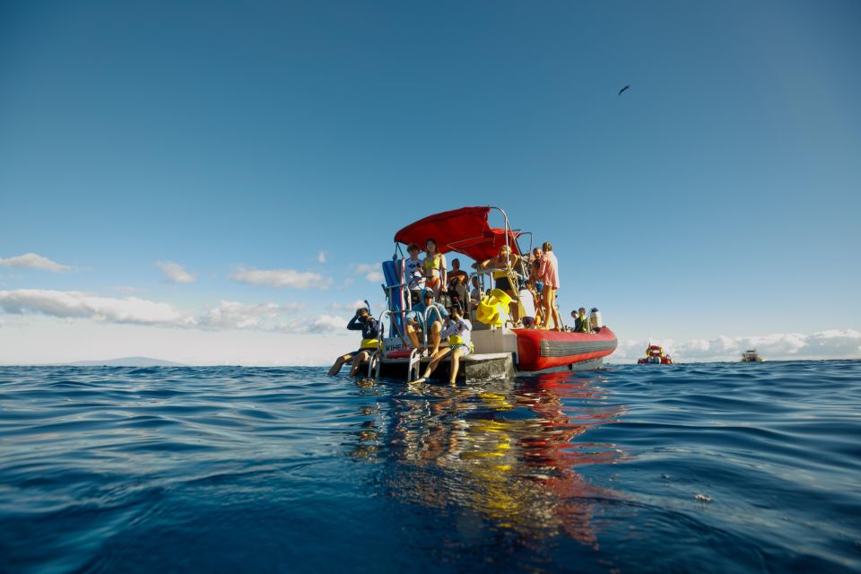 From Kihei: Molokini Snorkel With Whale Watching Adventure - Customer Reviews