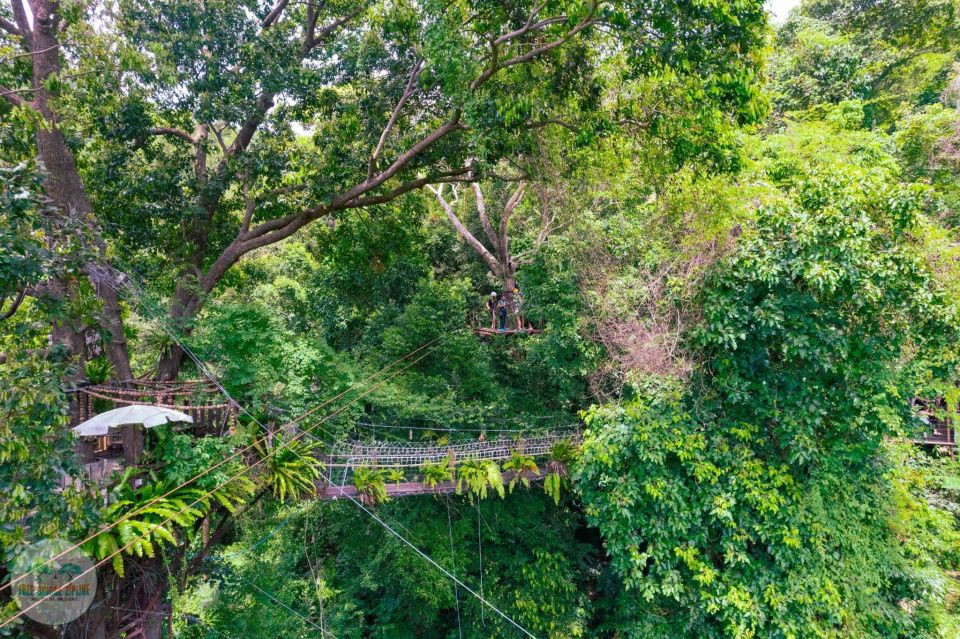 From Koh Samui: Tree Bridge Zipline and Café Experience - Review Summary and Guest Feedback