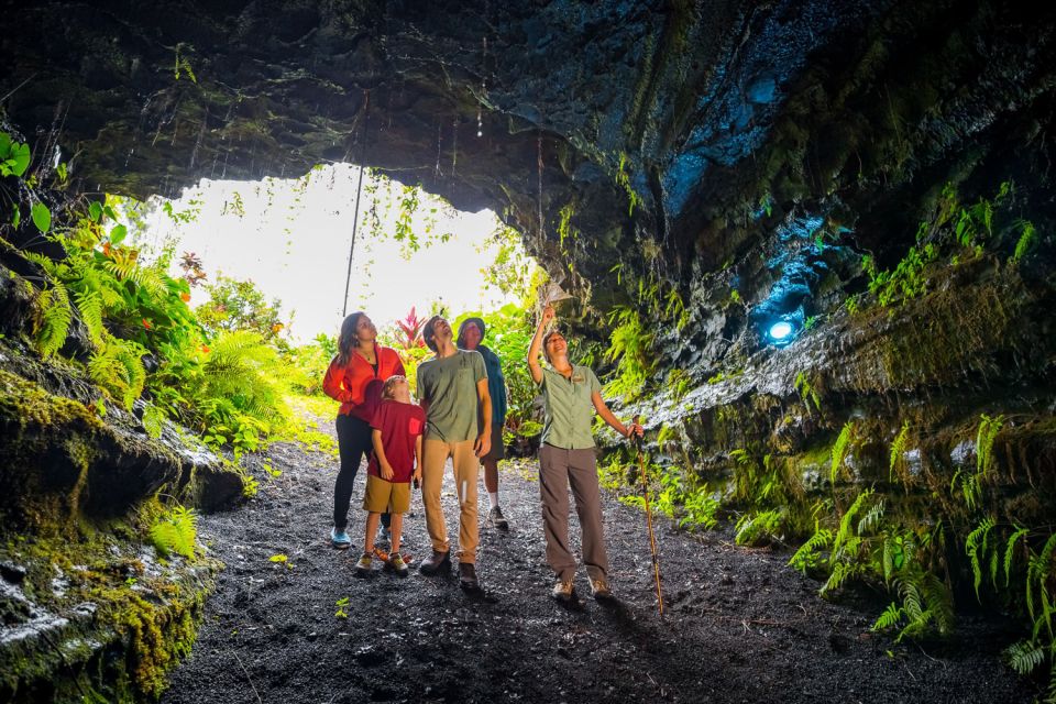 From Kona and Waikoloa: Kilauea Volcano Discovery Tour - Review Summary