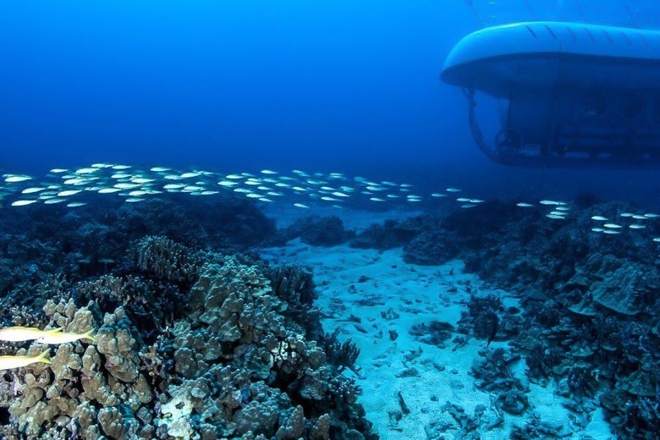 From Kona: Big Island Underwater Submarine Adventure - Pricing and Reservation Details