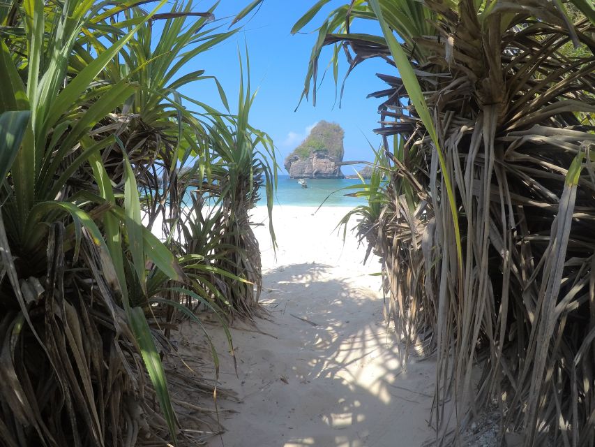 From Krabi: Phi Phi Islands Small Group Tour - Customer Reviews