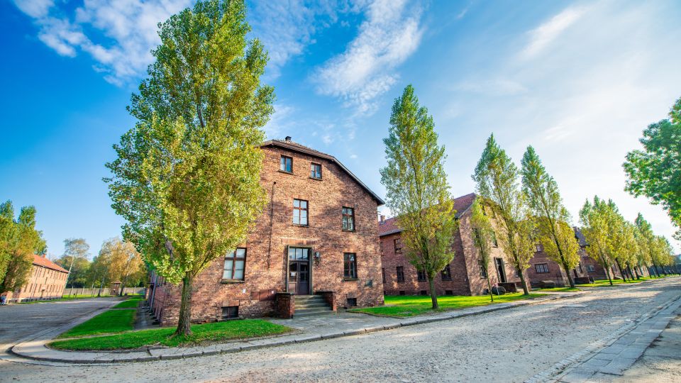 From Krakow: Auschwitz & Birkenau Fully Guided Tour & Pickup - Review Summary