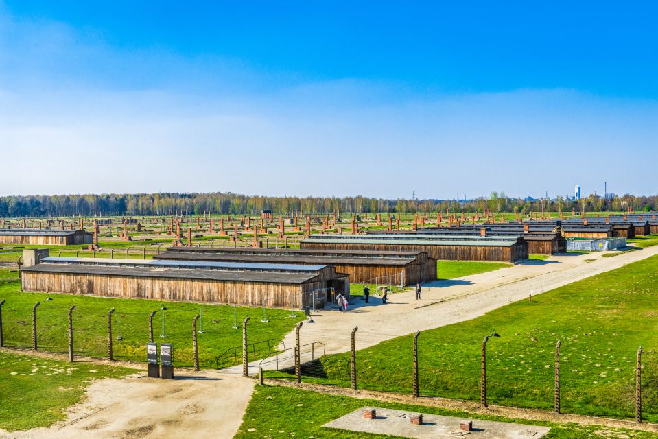 From Krakow: Auschwitz-Birkenau Tour With Transportation - Visitor Feedback on Driver