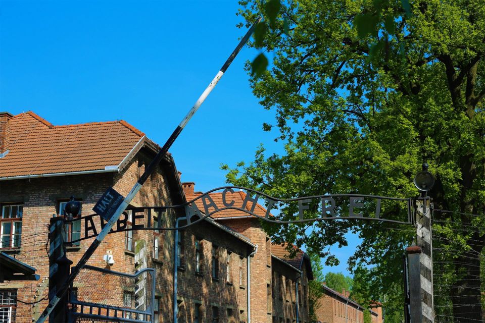 From Krakow: Auschwitz Museum and Wieliczka Salt Mine Tour - Historical Significance