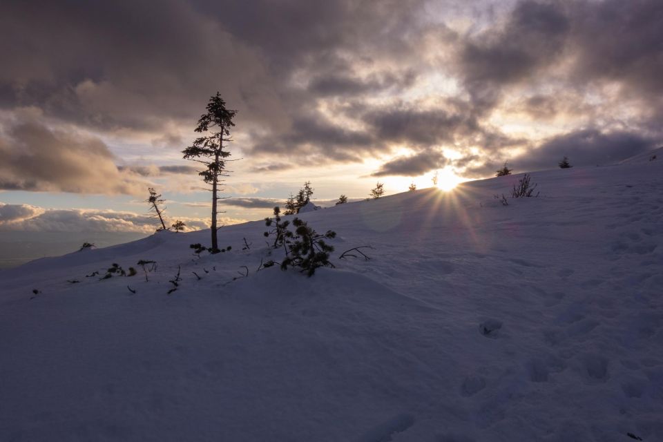 From Krakow: Full-Day Snowshoeing Adventure in Beskids - Reservation Details