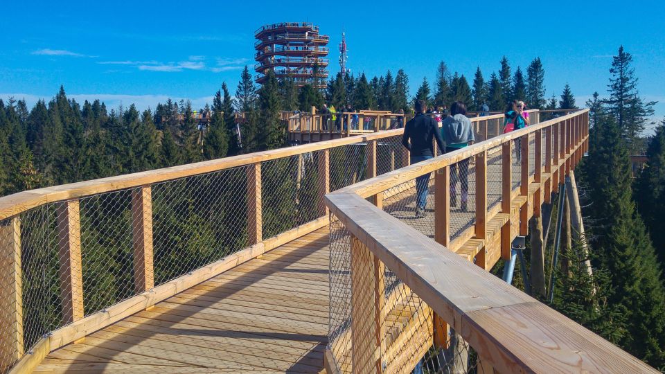 From Krakow: Slovakia Treetop Walk, Zakopane & Thermal Spa - Additional Information