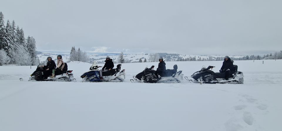 From Krakow: Snowmobile & Thermal Baths Zakopane Tour - Customer Reviews Summary