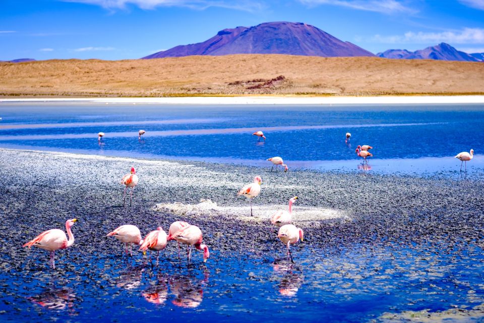 From La Paz: 4-Day Trip to San Pedro De Atacama W/Salt Flats - Logistics and Information