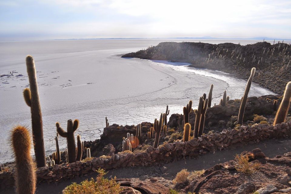 From La Paz to Atacama: Uyuni Salt Flats 4-Day Tour - Tour Services Ratings