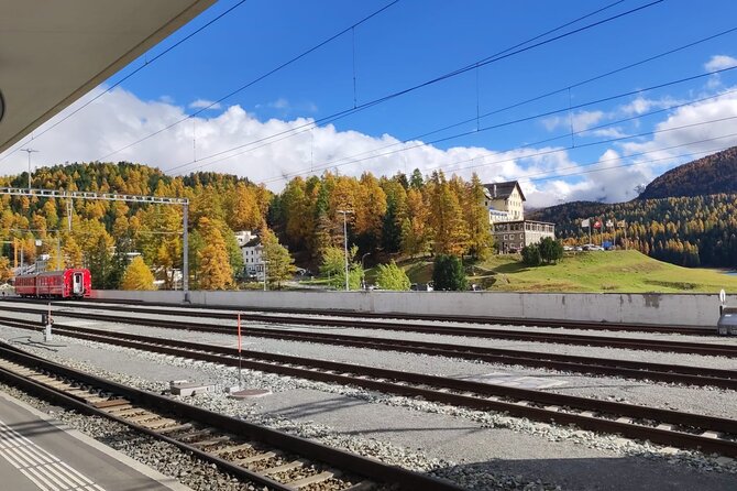 From Lake Como or Milan: Bernina Red Train Tour - Inclusions