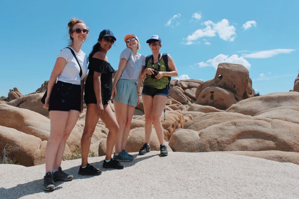 From Las Vegas: 4-Day Hiking and Camping in Joshua Tree - Directions to Joshua Tree