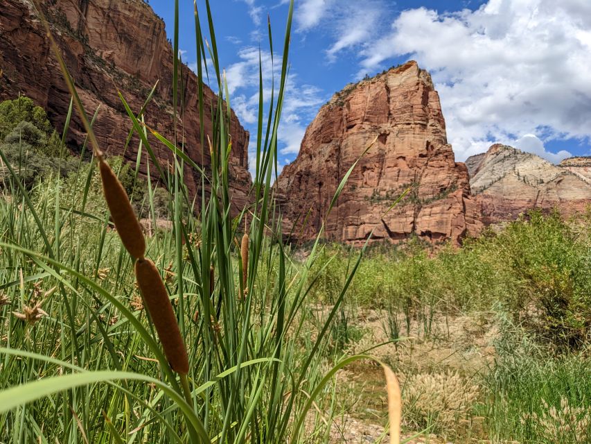 From Las Vegas: Zion National Park Small Group Adventure