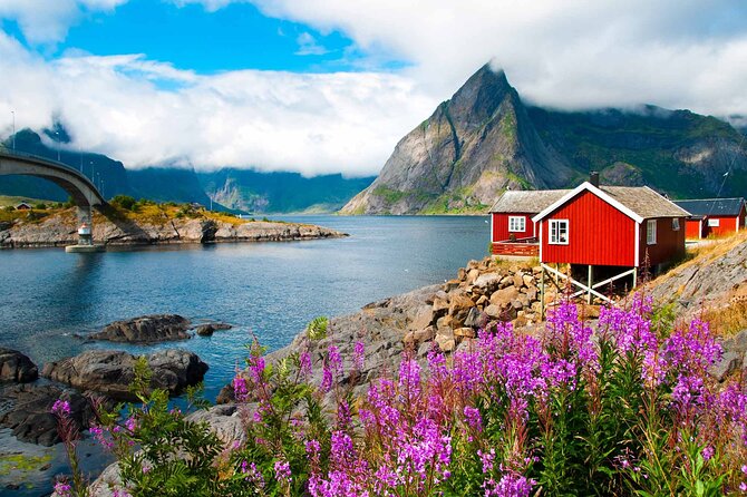 From Leknes Port: Special Summer Guided Tour of Lofoten - Addressing Constructive Feedback