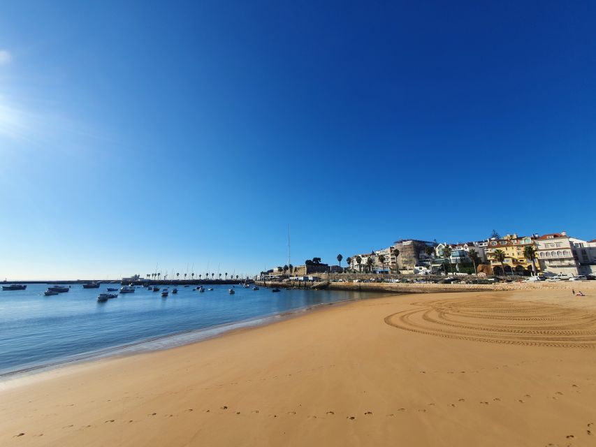 From Lisboa: Sintra, Cabo Da Roca & Cascais Full Day Tour - Guide Feedback and Traveler Satisfaction