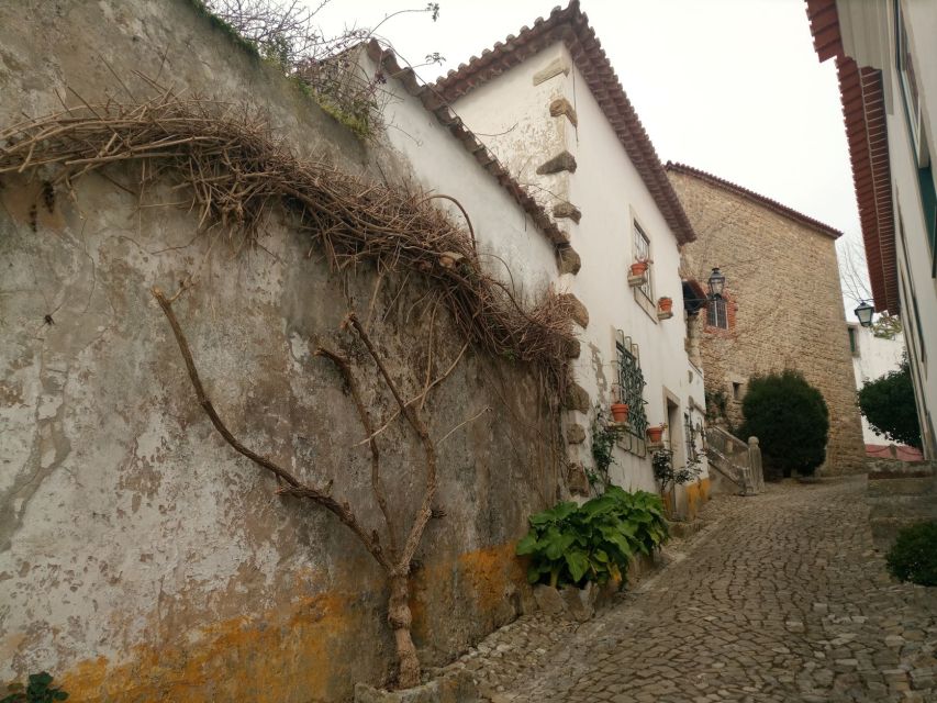 From Lisbon: Tomar and Casal De São Simão Guided Day Trip - Booking Information