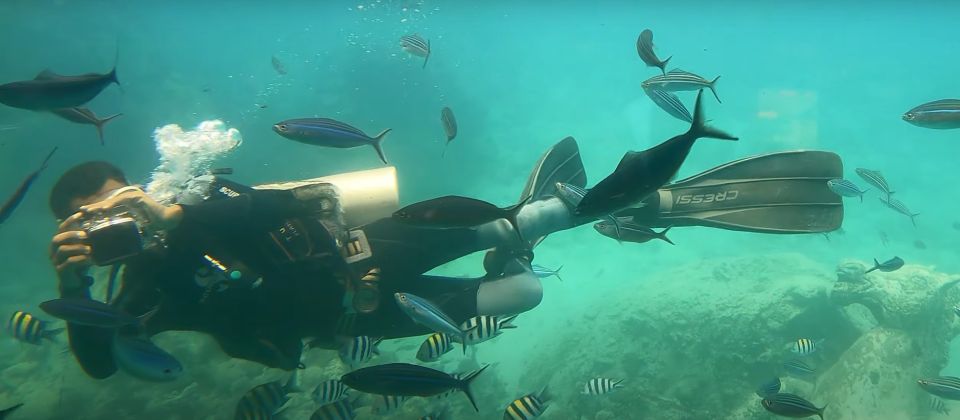 From Makadi Bay: Sindbad Submarine Tour With Round Transfers - Customer Reviews