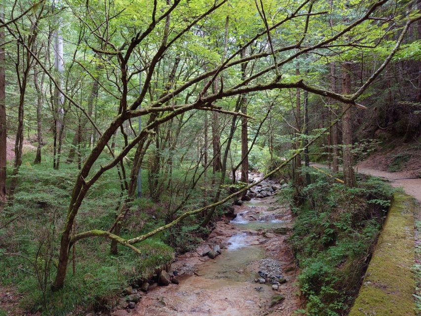 From Matsumoto/Nagano: Nakasendo Trail Walking Tour - Inclusions Provided