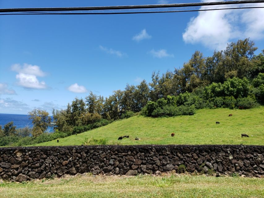 From Maui: Private Road to Hana Day Trip - Customer Reviews