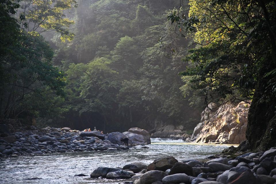 From Medan: Mount Leuser National Park Full-Day Trip - Activity Title and Logistics